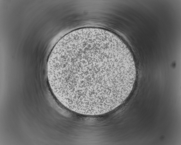 X0000115541371200912181520