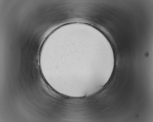 X0000115541372200912181520