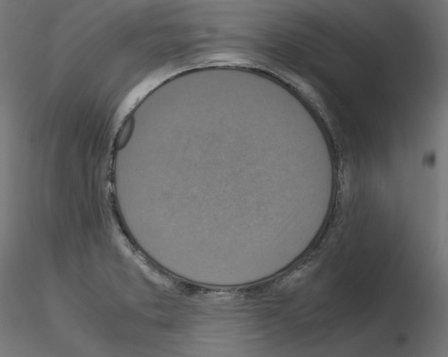 X0000115541373200912181520