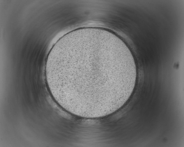 X0000115541374200912181520