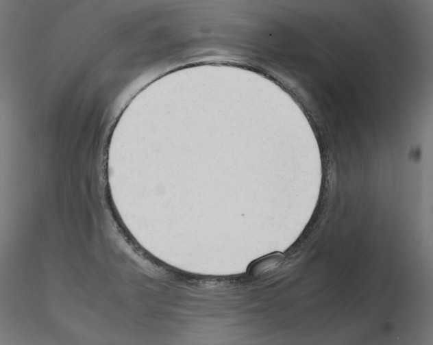 X0000115541375200912181519