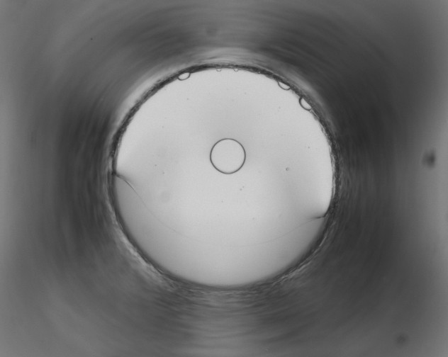 X0000115541376200912181519