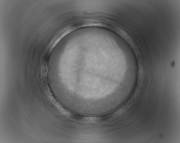 X0000115541377200912181519