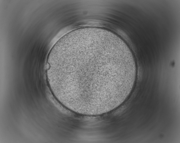 X0000115541378200912181519