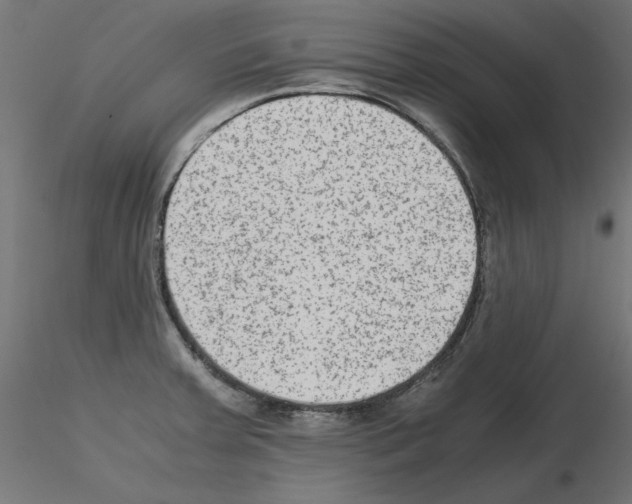 X0000115541379200912181519