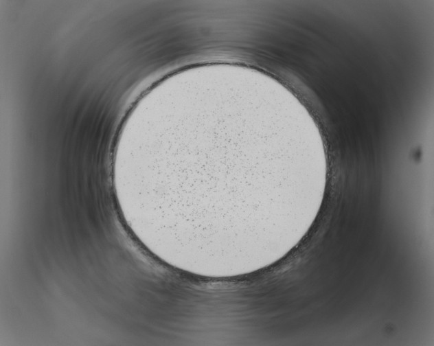 X0000115541380200912181519