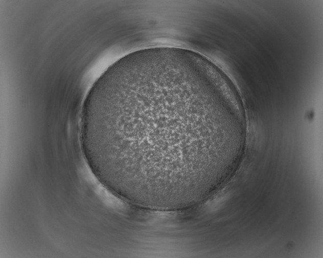 X0000115541381200912181519