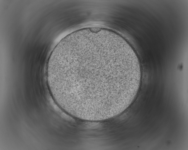 X0000115541382200912181519