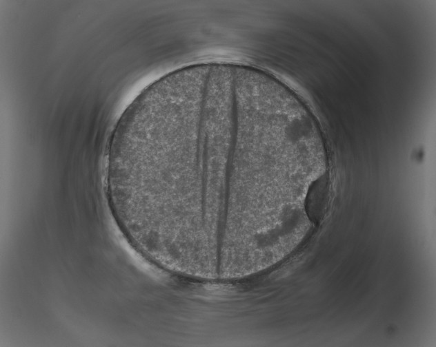 X0000115541383200912181519