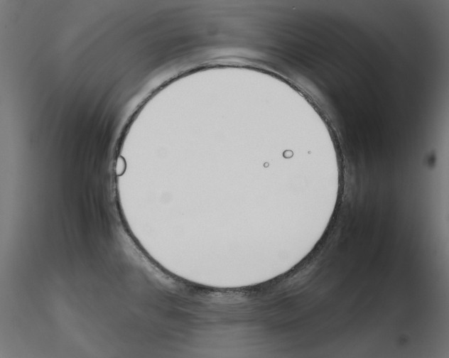 X0000115541384200912181519