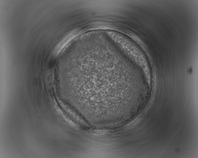 X0000115541385200912181519