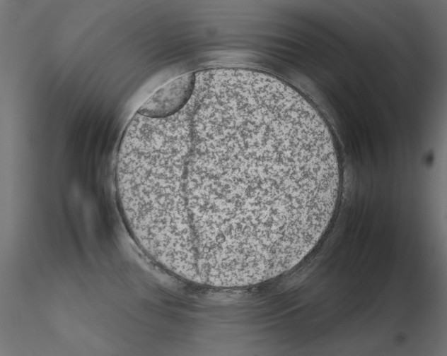 X0000115541386200912181519