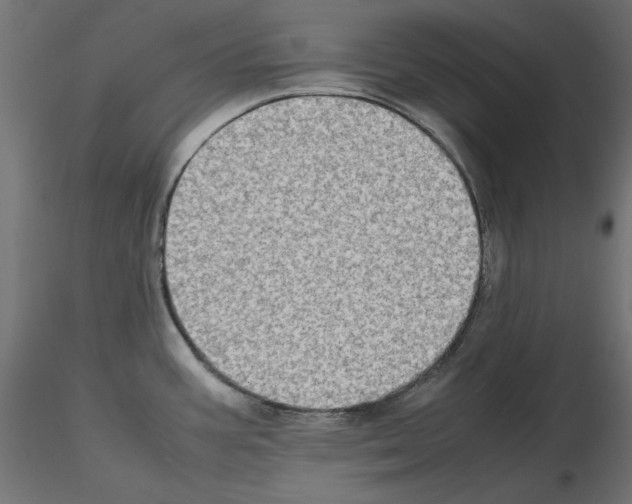 X0000115541387200912181519