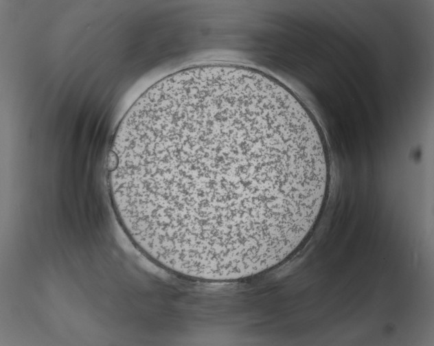 X0000115541390200912181519