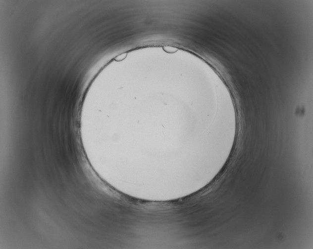 X0000115541392200912181519