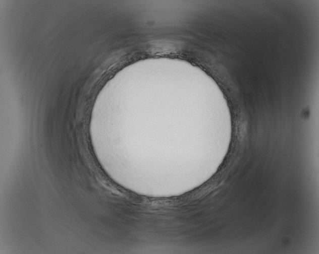 X0000115541393200912181518