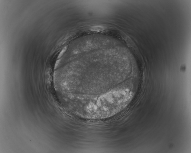 X0000115541394200912181518