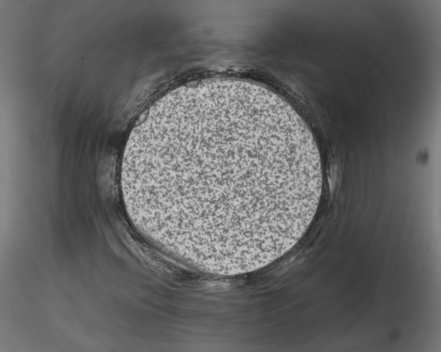 X0000115541396200912181518