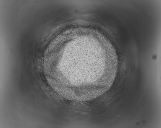 X0000115541397200912181518