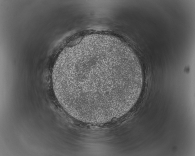 X0000115541398200912181518