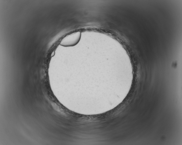 X0000115541400200912181518