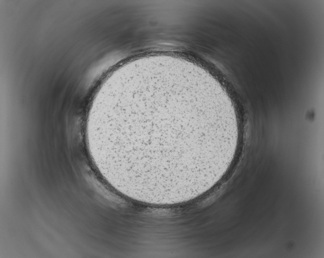 X0000115541402200912181518