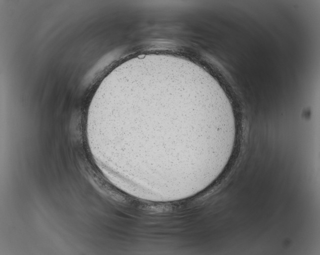 X0000115541403200912181518