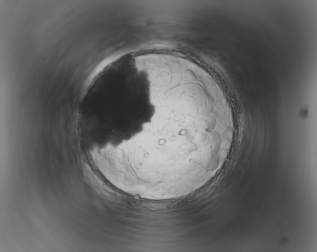 X0000115541404200912181518