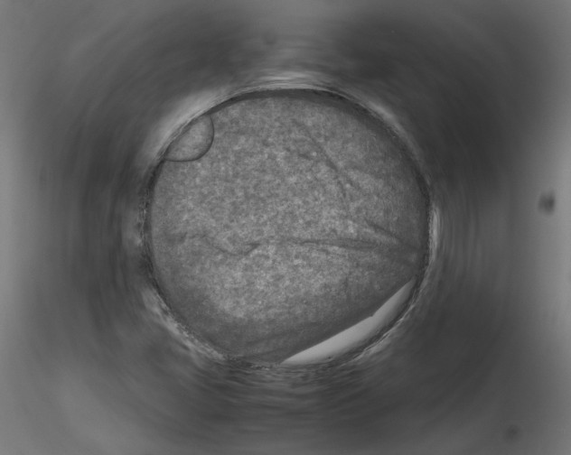 X0000115541405200912181518