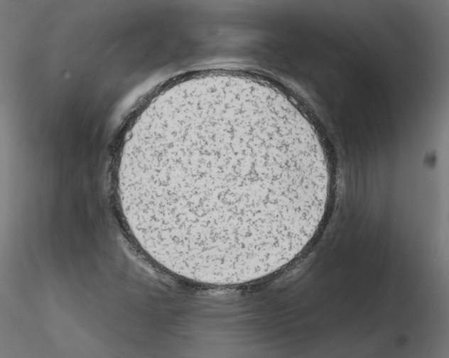 X0000115541406200912181518