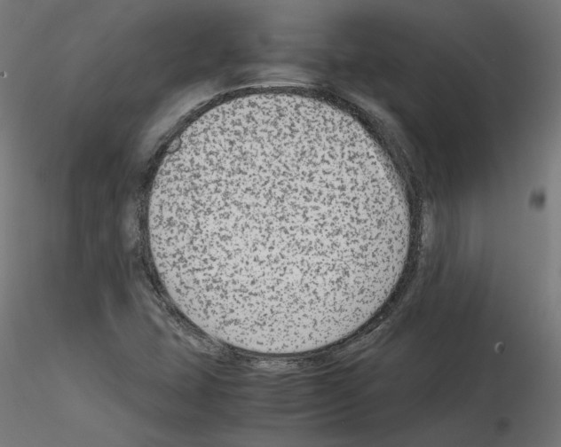 X0000115541407200912181518