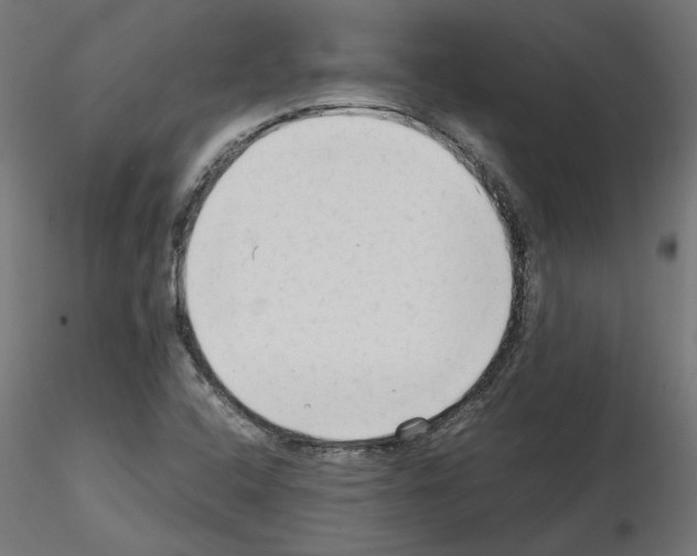 X0000115541408200912181518