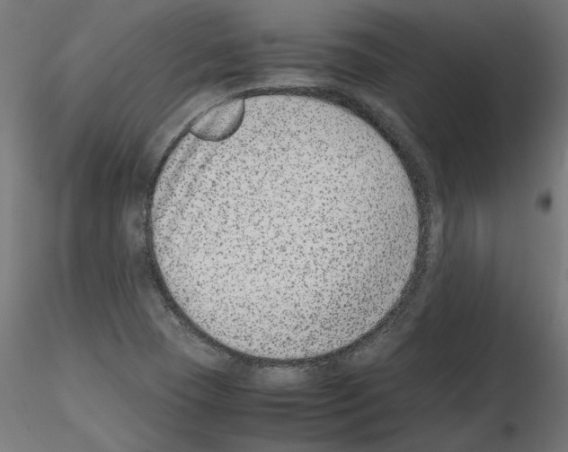 X0000115541409200912181518