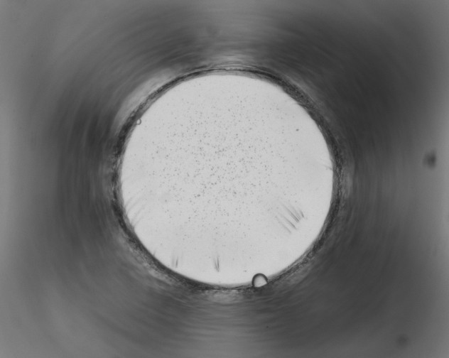 X0000115541410200912181518