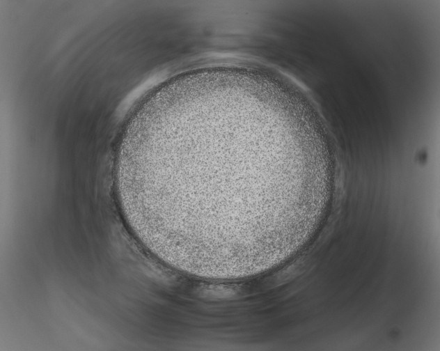 X0000115541411200912181519