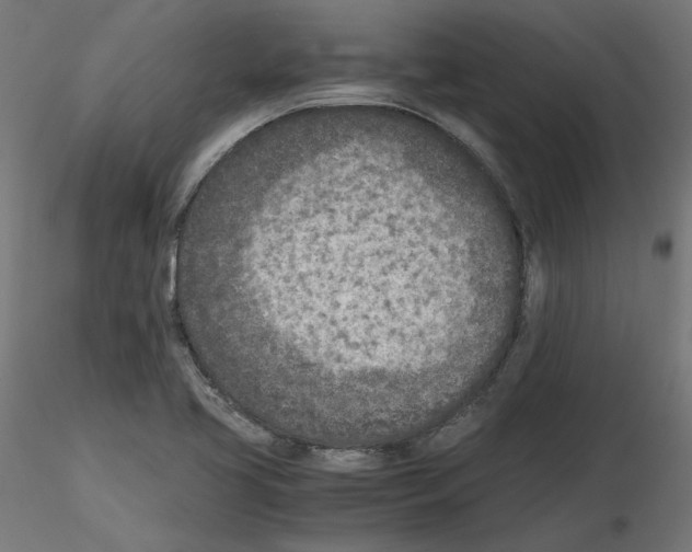 X0000115541413200912181519