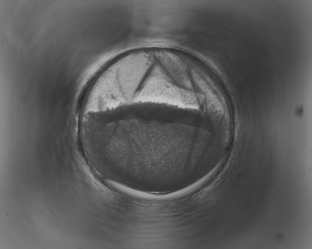 X0000115541414200912181519