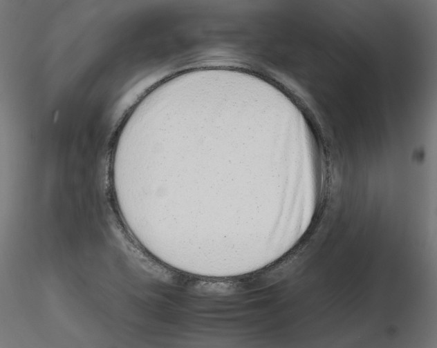 X0000115541415200912181519