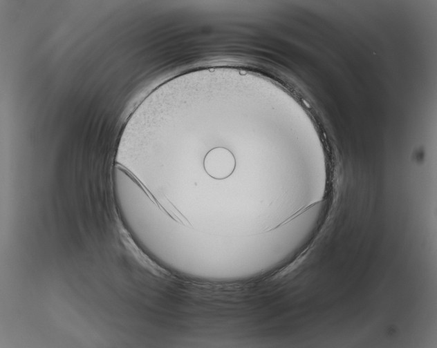 X0000115541417200912181519