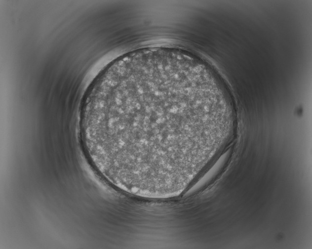 X0000115541418200912181519