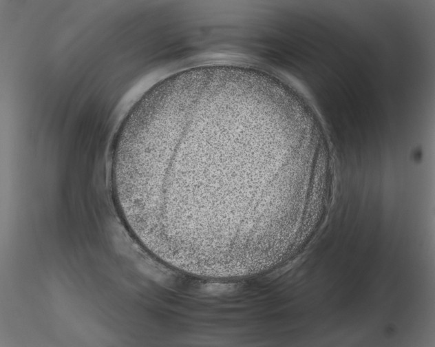 X0000115541419200912181519