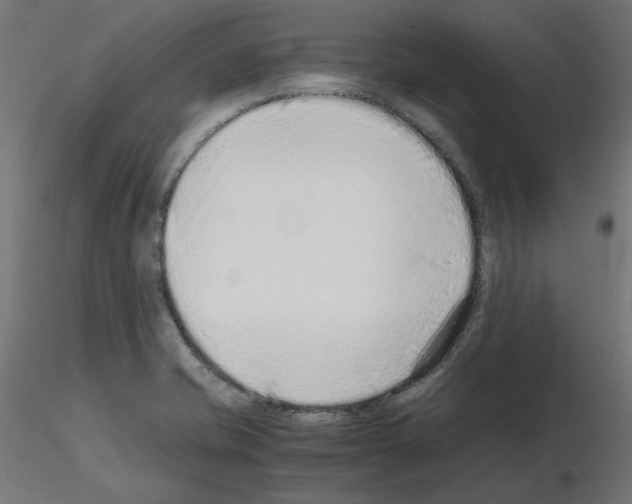 X0000115541421200912181519