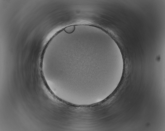 X0000115541422200912181519