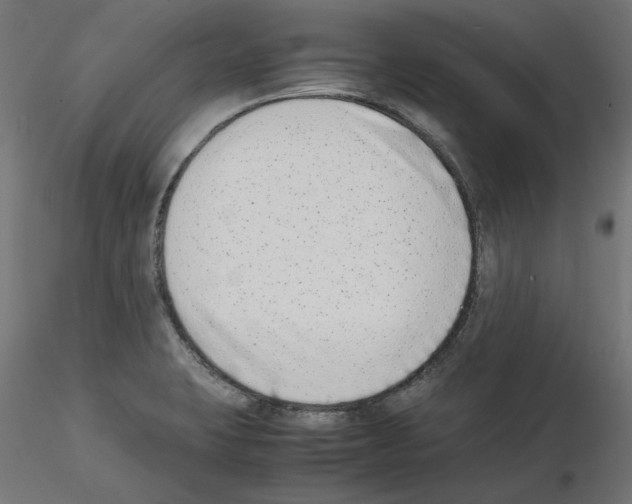 X0000115541423200912181519