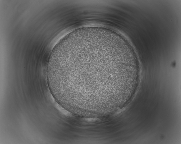 X0000115541425200912181519