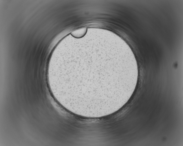 X0000115541426200912181519