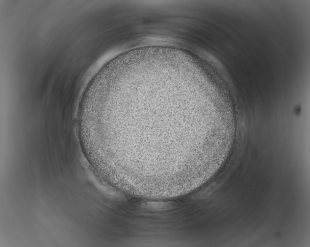 X0000115541427200912181519