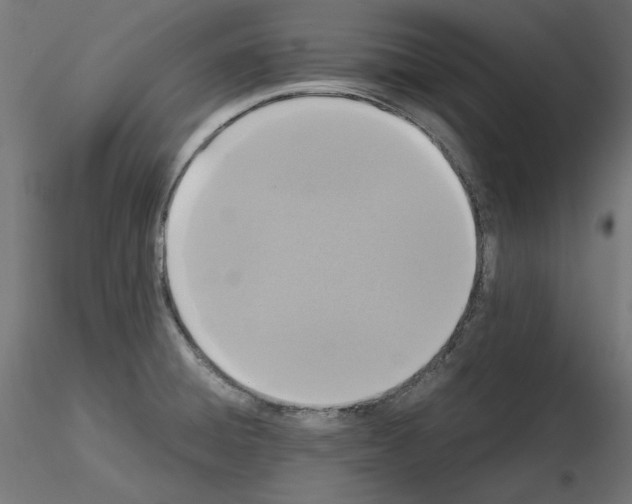 X0000115541428200912181519