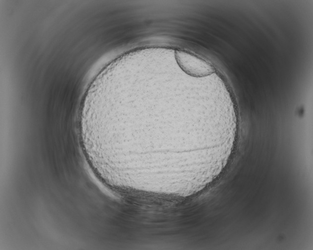 X0000115541429200912181519