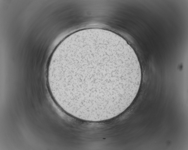 X0000115541430200912181519